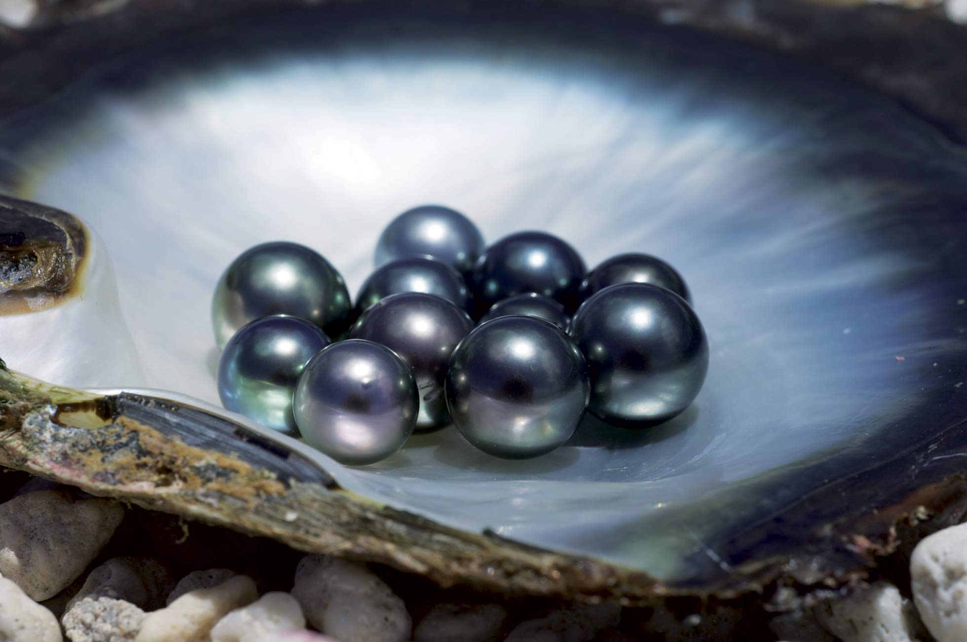 Perle de Tahiti  Comment bien choisir ses perles noires de Tahiti